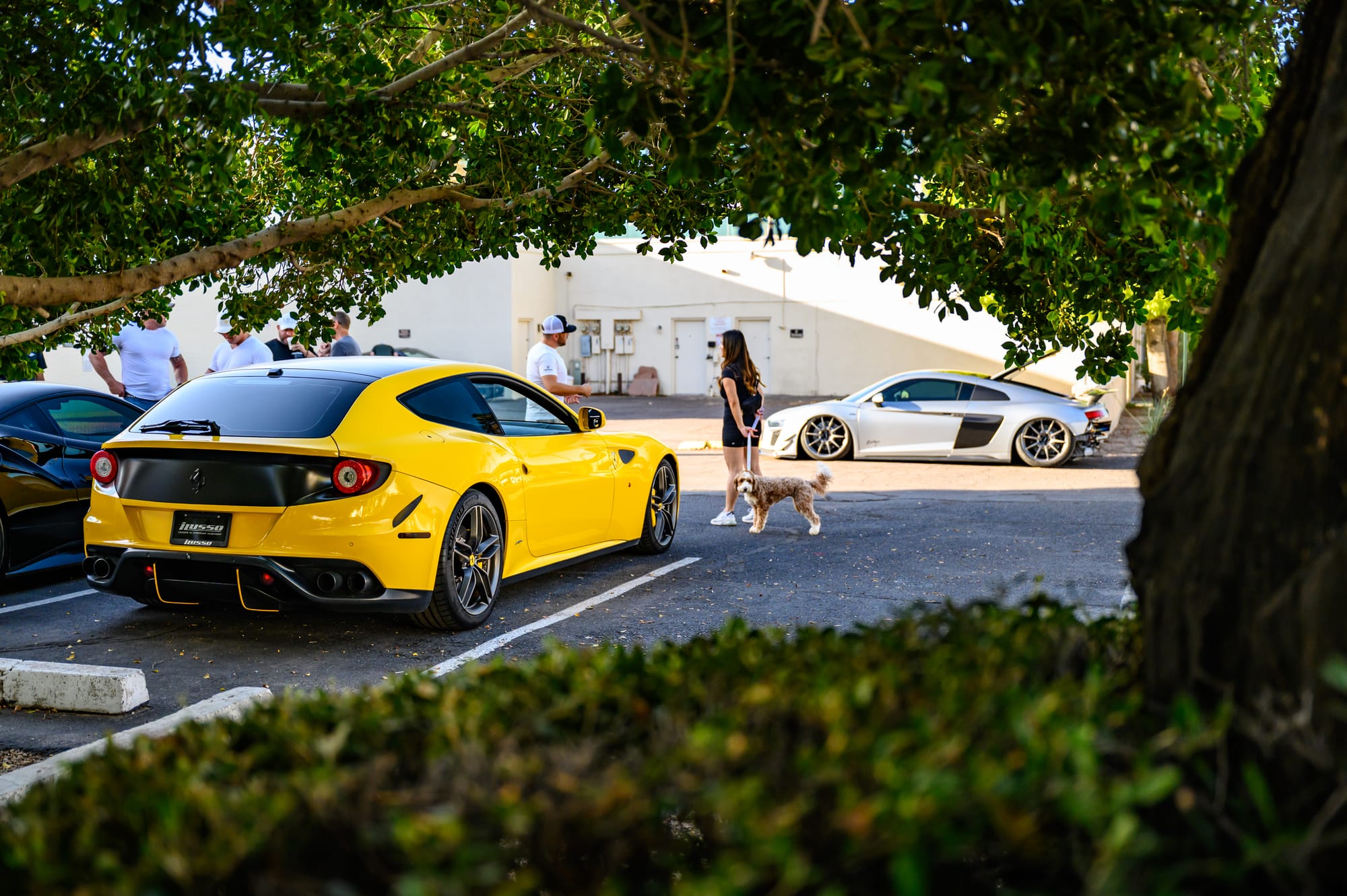 12 July 2025 - Really Fast Cars