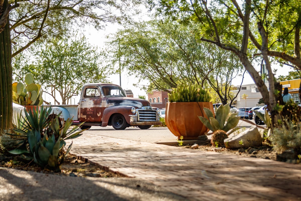 27 July 2024 - Shows for All